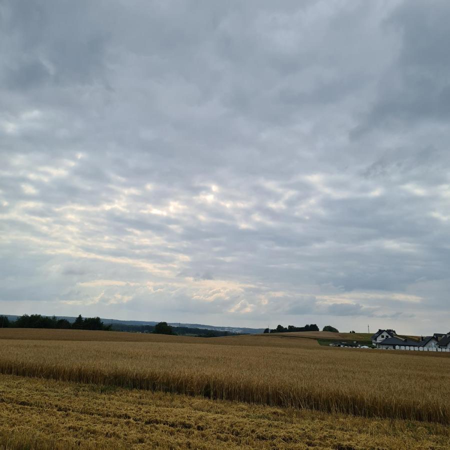 Sowi Dworek Sychowo Exterior foto