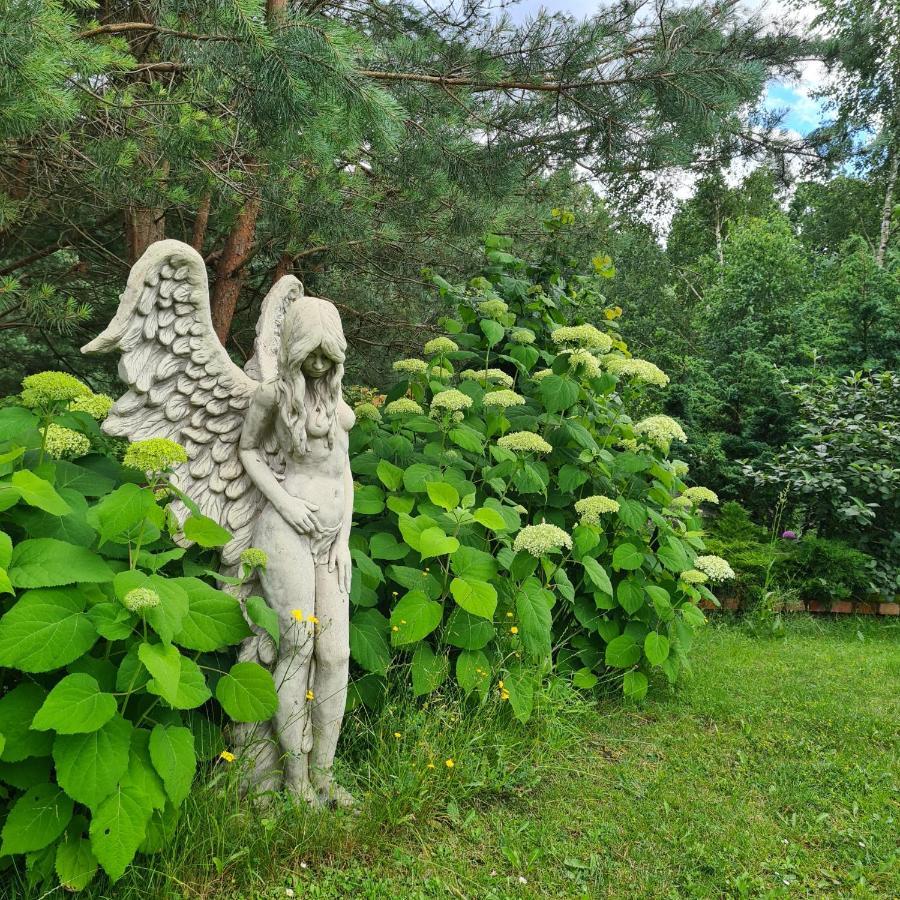 Sowi Dworek Sychowo Exterior foto